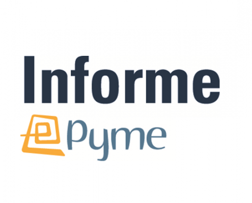 informe epyme